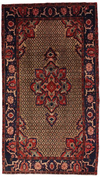 Songhor Персийски връзван килим 273x152