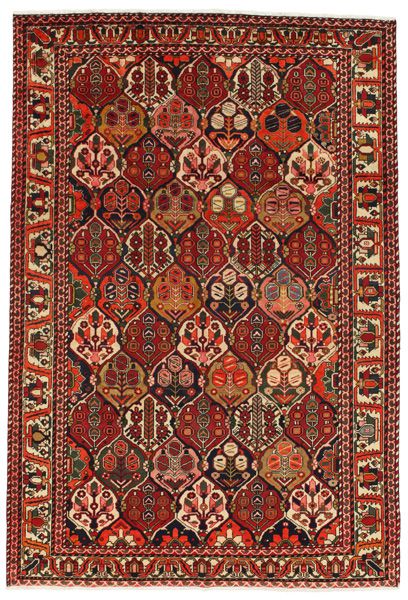 Bakhtiari Персийски връзван килим 305x207