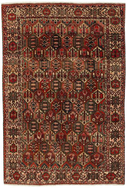 Bakhtiari - Garden Персийски връзван килим 305x205