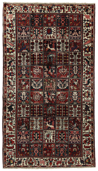 Bakhtiari Персийски връзван килим 295x168