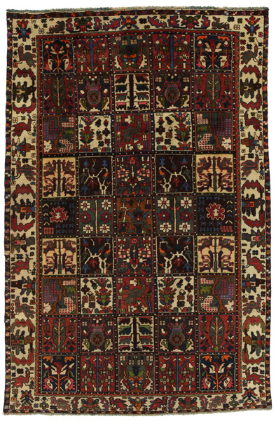 Bakhtiari Персийски връзван килим 235x156