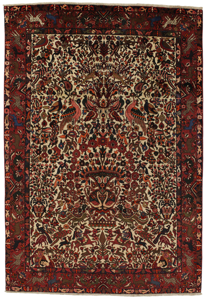 Bijar - Kurdi Персийски връзван килим 304x210