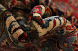 Kashan Персийски връзван килим 415x300 - Снимка 7