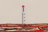 Nahavand - Hamadan Персийски връзван килим 298x157 - Снимка 8