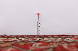 Borchalou - Hamadan Персийски връзван килим 313x97 - Снимка 8