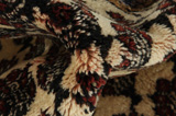 SahreBabak - Afshar Персийски връзван килим 175x144 - Снимка 7